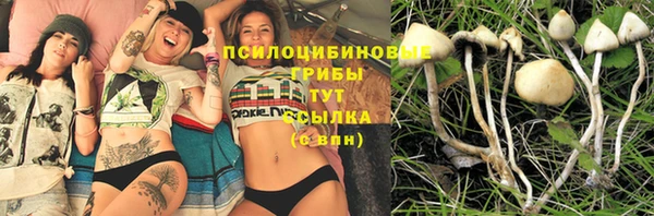mix Снежногорск