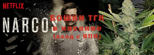 mix Снежногорск