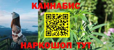 гашик Берёзовский