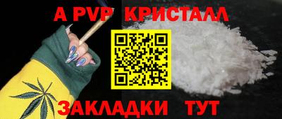 гашик Берёзовский
