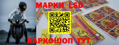гашик Берёзовский