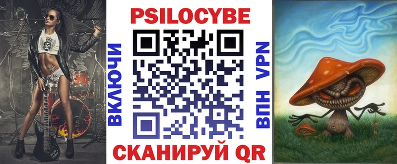 закладки  Екатеринбург  Галлюциногенные грибы Psilocybine cubensis 