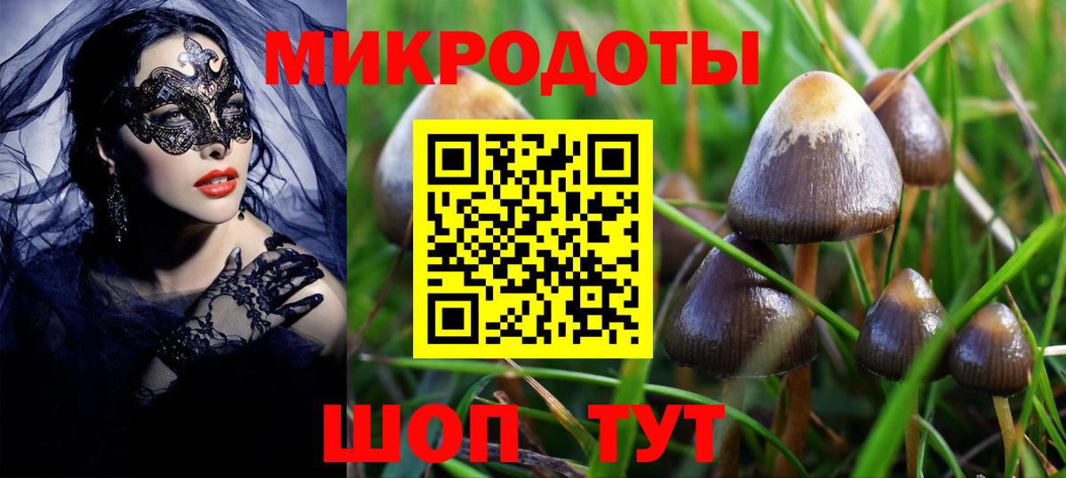 купить закладку  Екатеринбург  Псилоцибиновые грибы Psilocybe 