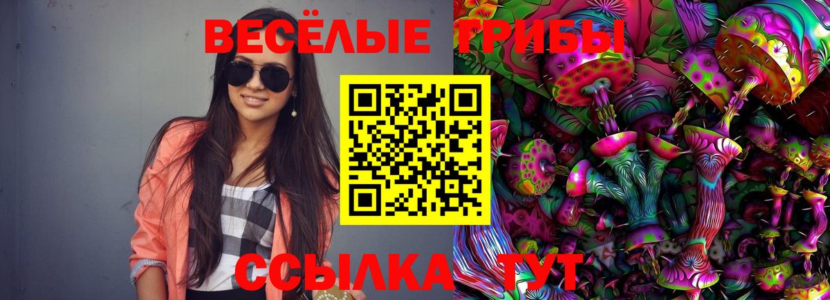 Галлюциногенные грибы GOLDEN TEACHER Екатеринбург