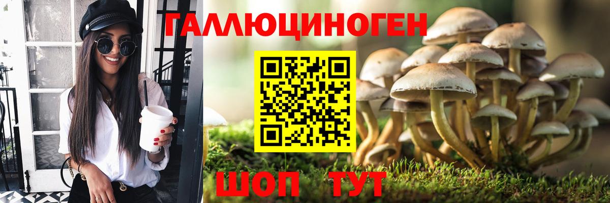 Екатеринбург  Псилоцибиновые грибы Psilocybine cubensis  Вход с VPN  Галлюциногенные грибы Cubensis 